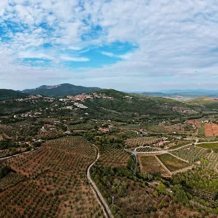 Mercurio Farm stay Campiglia Marittima