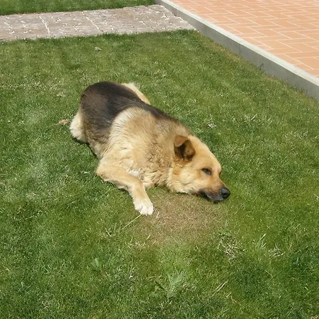 Farm stay Mercurio