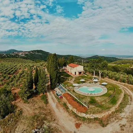 Mercurio * カンピーリア・マリッティマ